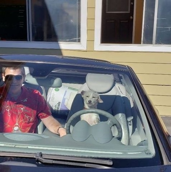 Meet your Posher, James - Picture 1 of 1